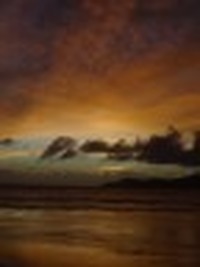 Collector profile picture : el7591 Collector profile picture : el7591