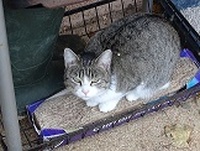 收藏者头像 : : armipa 收藏者头像 : : armipa