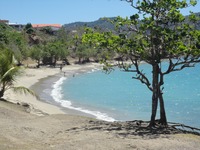 Gyűjtő fényképe: : Vanikoro Gyűjtő fényképe: : Vanikoro