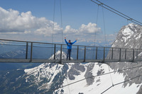 收藏者头像 : : Gerry64 收藏者头像 : : Gerry64