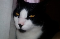 Gambar profil kolektor : : : : alexmonri Gambar profil kolektor : : : : alexmonri