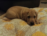 收藏者头像 : : barcasalvatore 收藏者头像 : : barcasalvatore