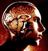 收藏者头像 : : henrim 收藏者头像 : : henrim