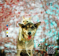 Foto perfil: : Eivind-Friedricksen Foto perfil: : Eivind-Friedricksen