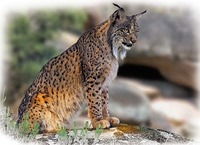 Foto perfil: : fanatic Foto perfil: : fanatic