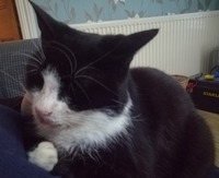 收藏者头像 : : thorstamps 收藏者头像 : : thorstamps