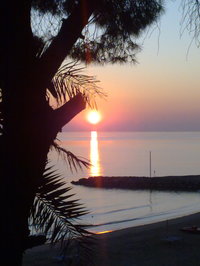 收藏者头像 : : Chrigu 收藏者头像 : : Chrigu