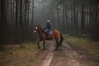 Collector profile picture : JaroslavK Collector profile picture : JaroslavK