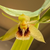 Dmytro24112020 Collector: Dmytro24112020