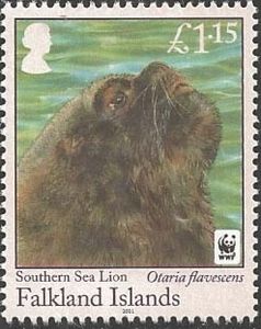 Southern Sea Lion (Otaria byronia)