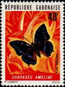 Blue-spotted Charaxes (Charaxes ameliae)