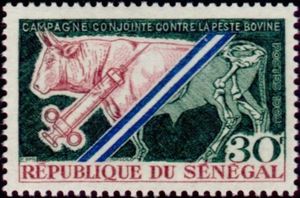 Campaign Against Rinderpest