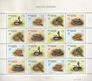 Snakes of the Region