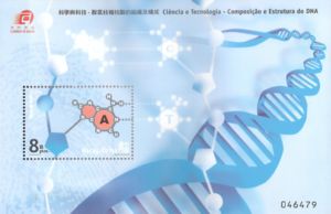 DNA Nucleobase - Adenine