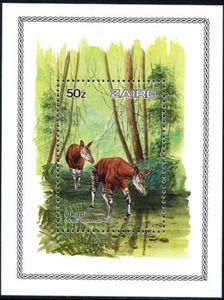 Okapi (Okapia johnstoni)