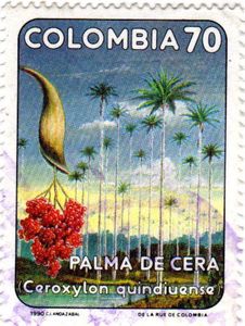 Ceroxylon quindiuense