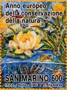 Marsh flora and fauna