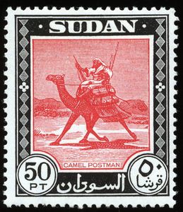 Postman Riding a Dromedary (Camelus dromedarius)