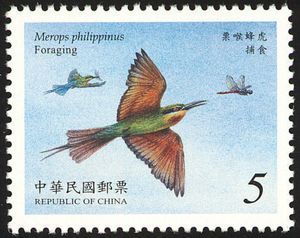 Blue-tailed Bee-eater (Merops philippinus)