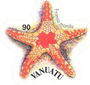 Necklace Starfish (Fromia monilis)