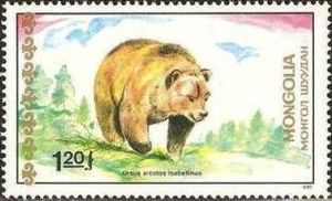 Himalayan Brown Bear (Ursus arctos isabellinus)
