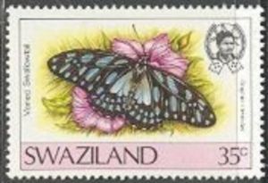 Veined Swordtail (Graphium leonidas)