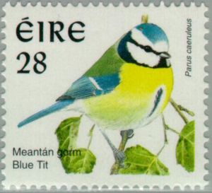 Eurasian Blue Tit (Parus caeruleus)