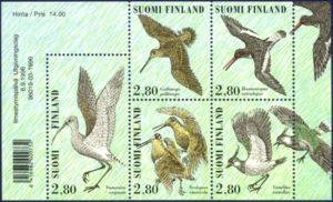 Snipe, Oystercatcher, Curlew, Woodcock, Lapwing
