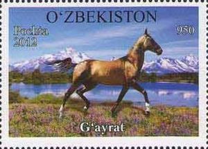 "Gayrat" (Equus ferus caballus)