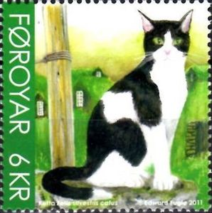 Domestic Cat (Felis silvestris catus)