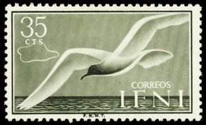 Mediterranean Gull (Larus melanocephalus)