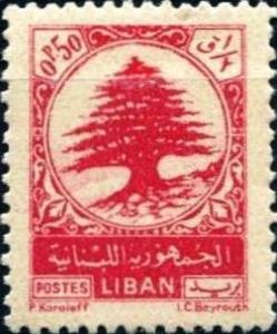 Cedar of Lebanon