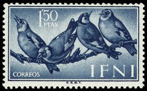 European Goldfinch (Carduelis carduelis)