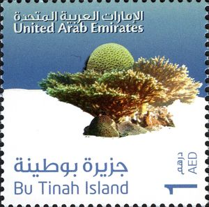 Bu Tinah Island. Corals