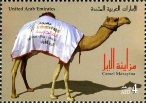 Dromedary (Camelus dromedarius)