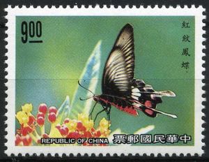 Common Rose (Pachliopta aristolochiae interpositas)