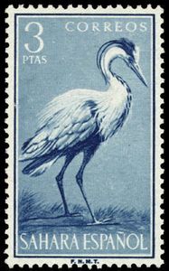 Grey Heron (Ardea cinerea)