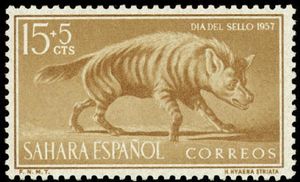 Striped Hyaena (Hyaena hyaena)