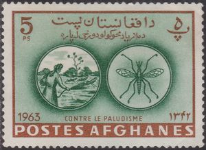 Spraying against Anopheles Mosquito (Anopheles sp.)