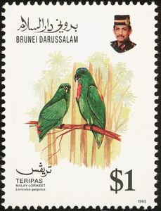 Blue-crowned Hanging-Parrot (Loriculus galgulus)