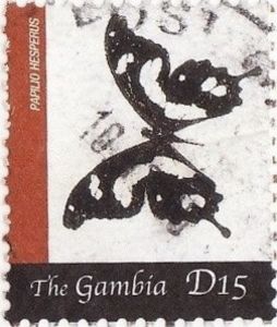 Emperor Swallowtail (Papilio hesperus)