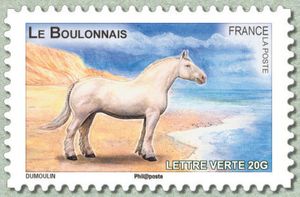Boulonnais (Equus ferus caballus)