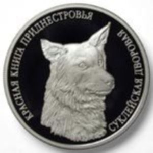 3 Rubles (Sukleya`s home dog)