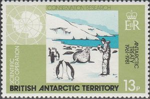 Conservation Research - penguins, seals