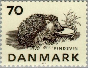 West European Hedgehog (Erinaceus europaeus)