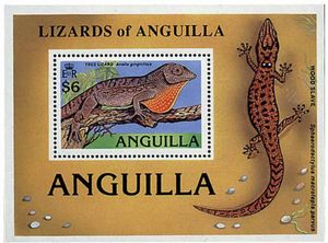 Lizards of Anguilla