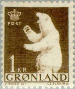 Polar Bear (Ursus maritimus)