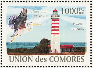 Ras Mkumbi (Tanzania), Pink-backed Pelican (Pelecanus rufesc