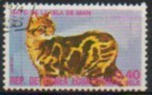 Manx (Felis silvestris catus)