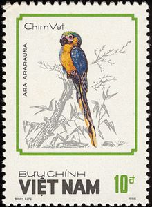 Blue-and-yellow Macaw (Ara ararauna)
